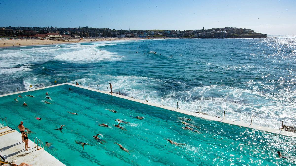 Иск коренного населения против легендарного клуба Bondi Icebergs: опасения выселения спортивных клубов